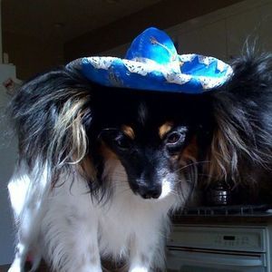 Meet your Posher, Claire